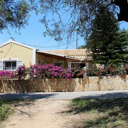 Jasmin Skidi Ágios Matthaíos